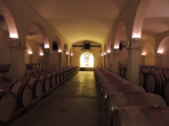 Розе де Прованс - самые древние вина Франции